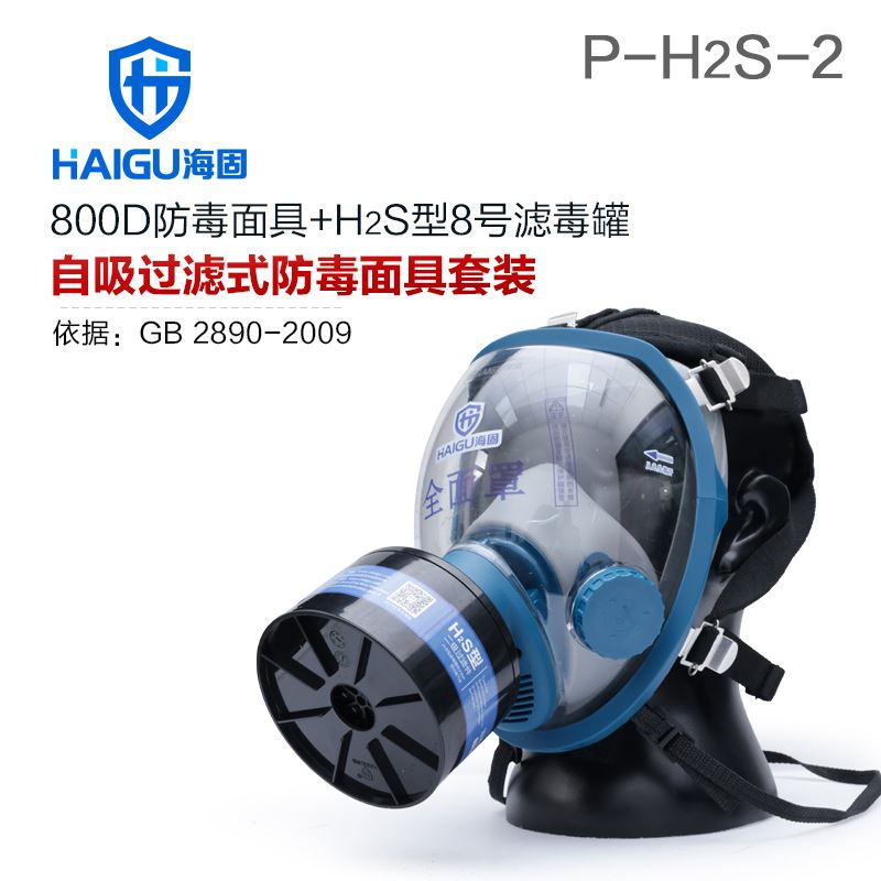 海固800D全面罩+HG-ABS/P-H2S-2滤毒罐 硫化氢气体防护套装